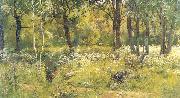 Ivan Shishkin Grassy Glades of the Forest Germany oil painting artist